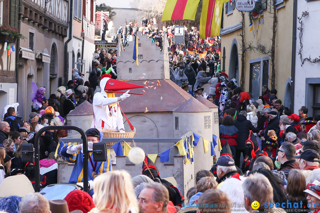 Narrensprung - Narrenbaumsetzen: Meersburg am Bodensee, 23.02.2014