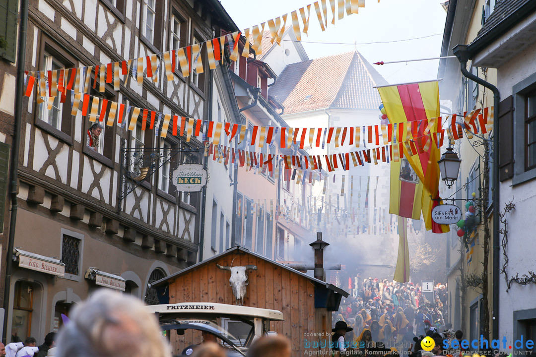 Narrensprung - Narrenbaumsetzen: Meersburg am Bodensee, 23.02.2014