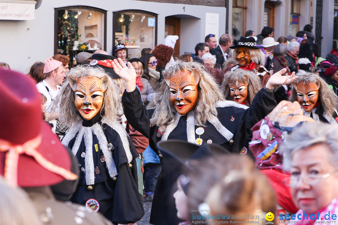 Narrensprung - Narrenbaumsetzen: Meersburg am Bodensee, 23.02.2014