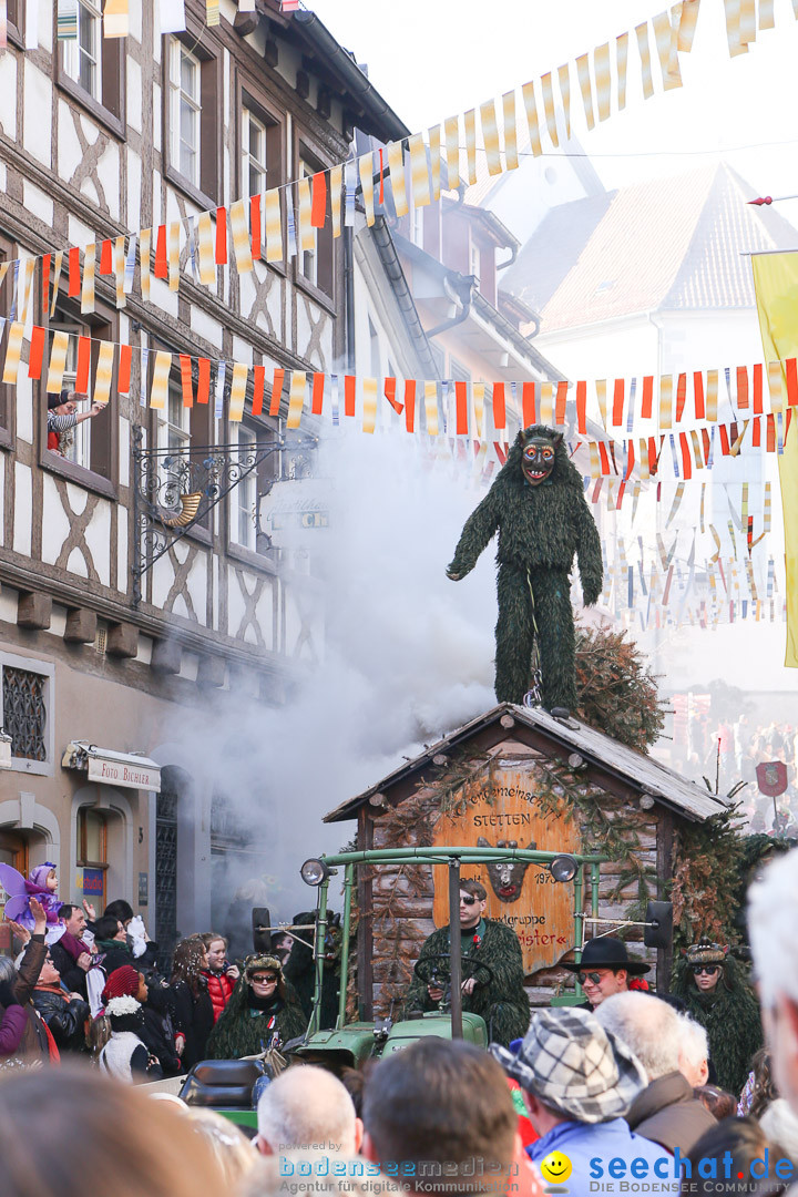 Narrensprung - Narrenbaumsetzen: Meersburg am Bodensee, 23.02.2014