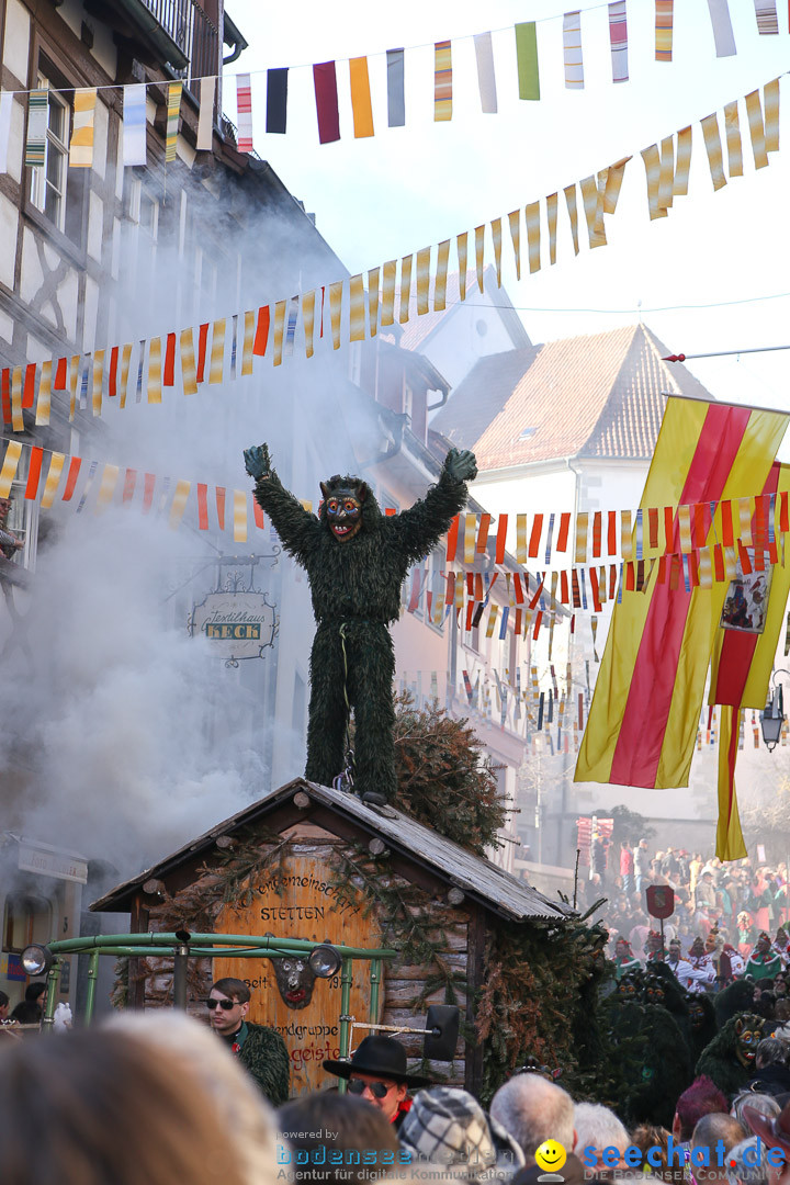 Narrensprung - Narrenbaumsetzen: Meersburg am Bodensee, 23.02.2014