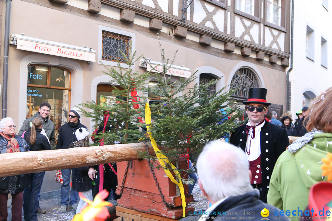 Narrensprung - Narrenbaumsetzen: Meersburg am Bodensee, 23.02.2014