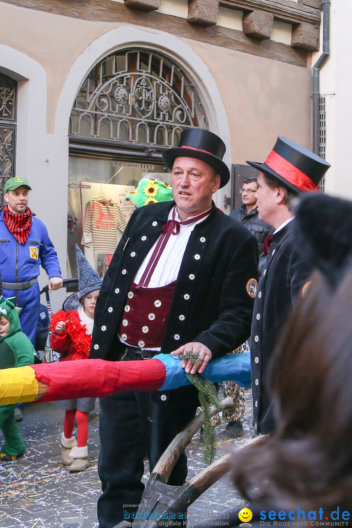 Narrensprung - Narrenbaumsetzen: Meersburg am Bodensee, 23.02.2014