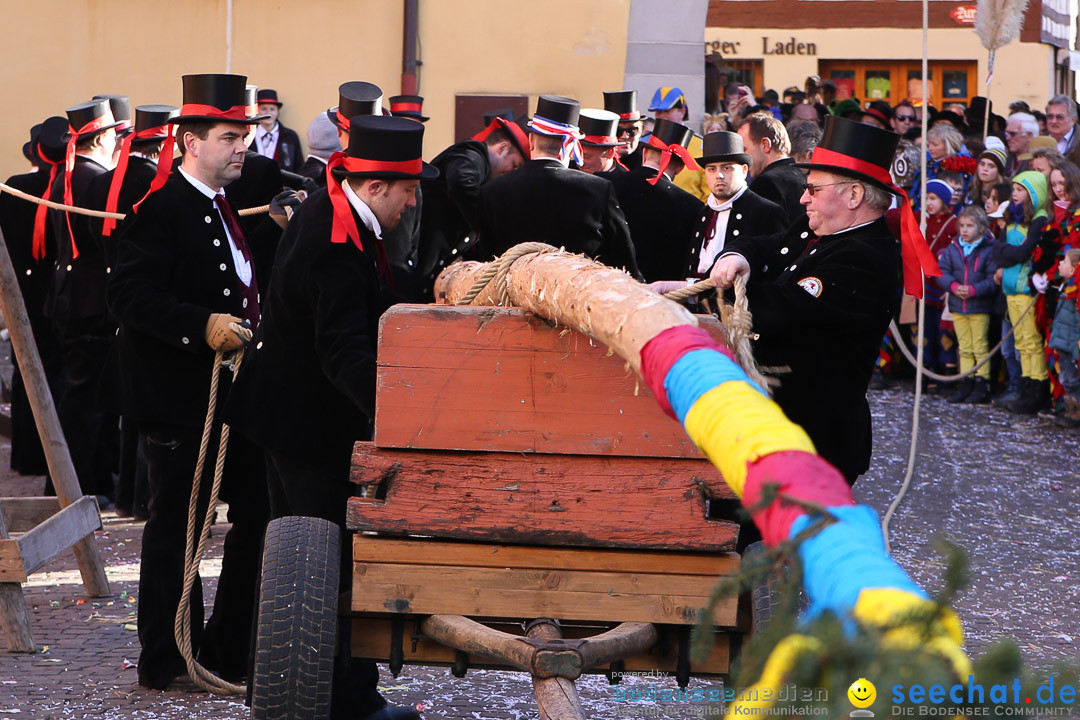 Narrensprung - Narrenbaumsetzen: Meersburg am Bodensee, 23.02.2014