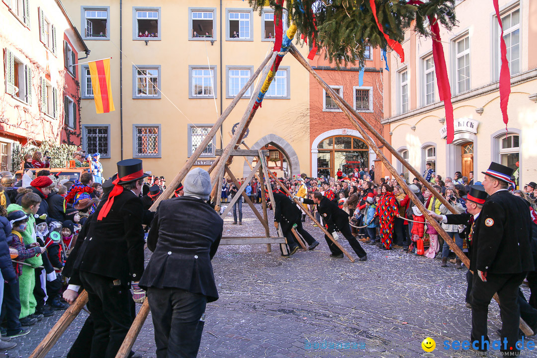 Narrensprung - Narrenbaumsetzen: Meersburg am Bodensee, 23.02.2014