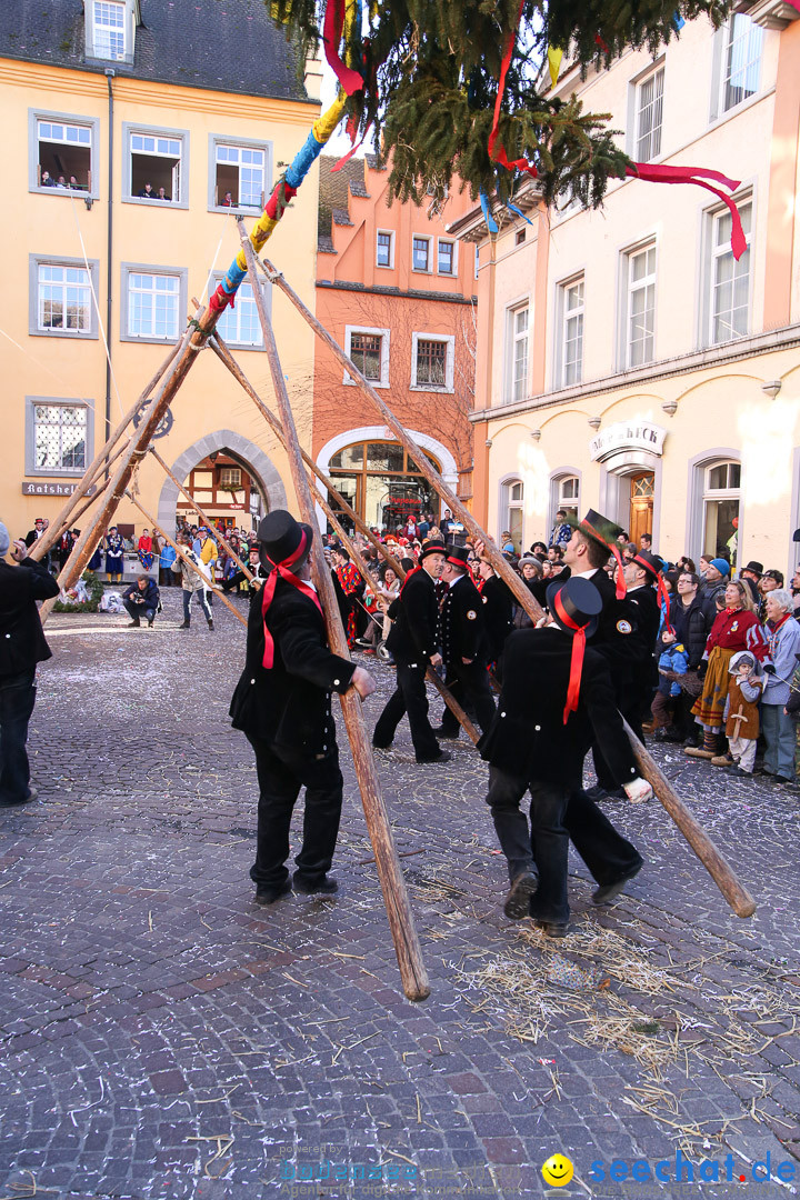 Narrensprung - Narrenbaumsetzen: Meersburg am Bodensee, 23.02.2014