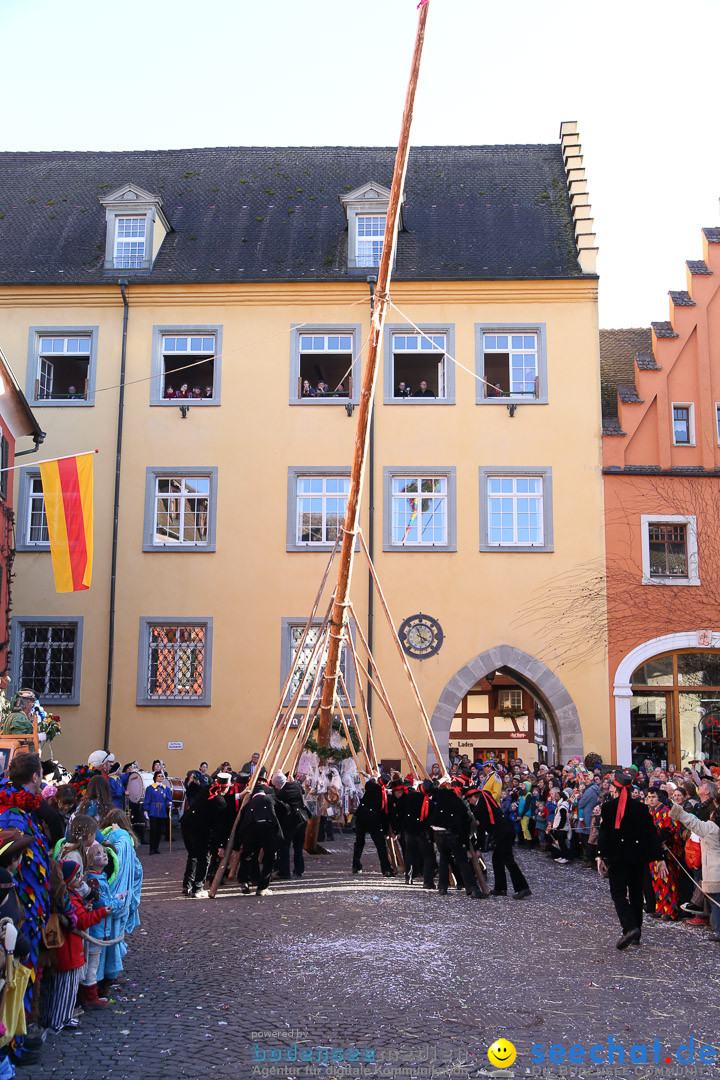 Narrensprung - Narrenbaumsetzen: Meersburg am Bodensee, 23.02.2014