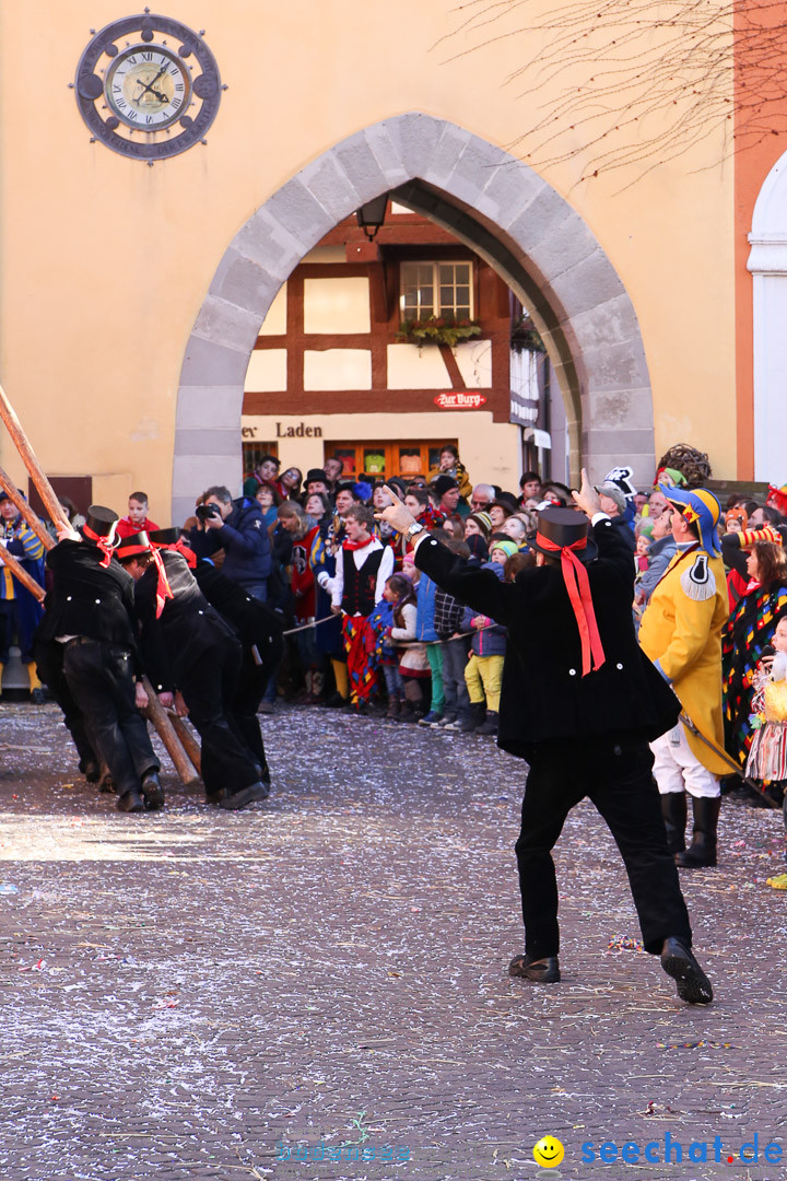 Narrensprung - Narrenbaumsetzen: Meersburg am Bodensee, 23.02.2014