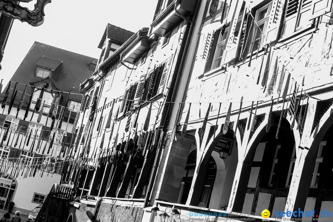 Narrensprung - Narrenbaumsetzen: Meersburg am Bodensee, 23.02.2014