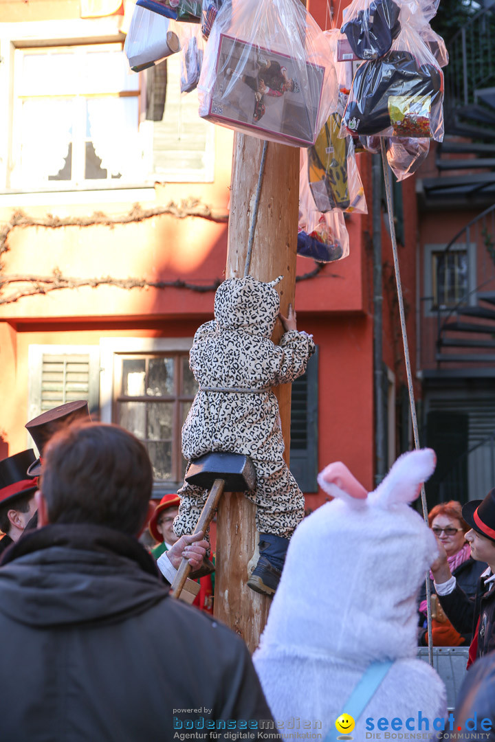 Narrensprung - Narrenbaumsetzen: Meersburg am Bodensee, 23.02.2014