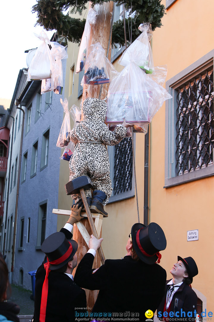 Narrensprung - Narrenbaumsetzen: Meersburg am Bodensee, 23.02.2014