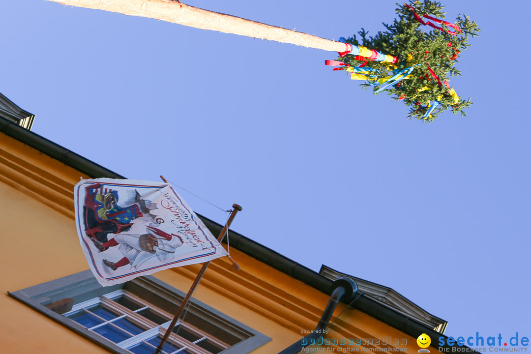 Narrensprung - Narrenbaumsetzen: Meersburg am Bodensee, 23.02.2014