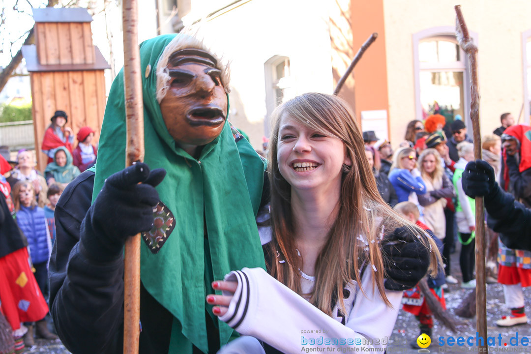 Narrensprung - Narrenbaumsetzen: Meersburg am Bodensee, 23.02.2014