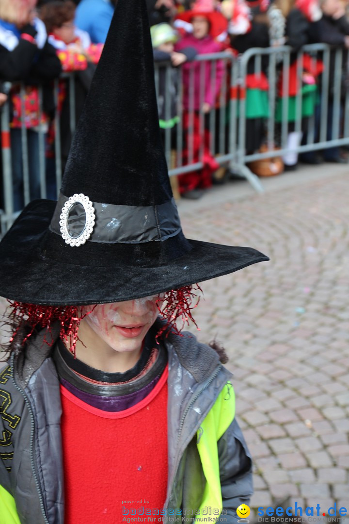 Narrenbaumstellen, Winfried Kretschmann: Stockach am Bodensee, 27.02.2014