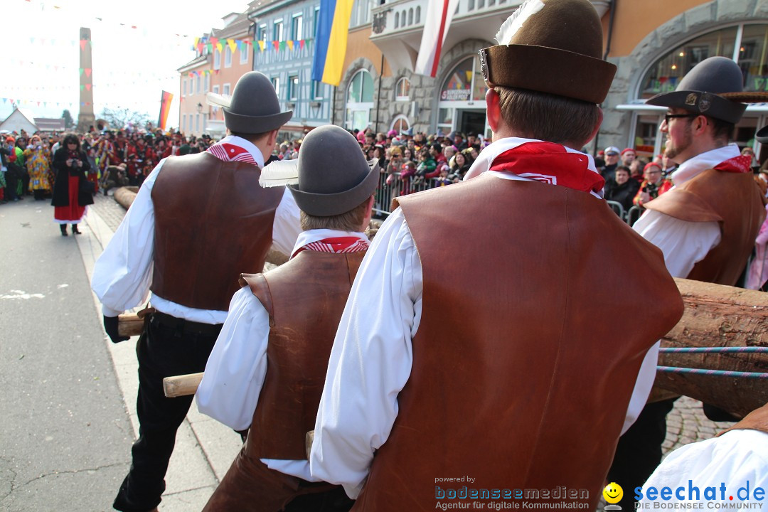 Narrenbaumstellen, Winfried Kretschmann: Stockach am Bodensee, 27.02.2014