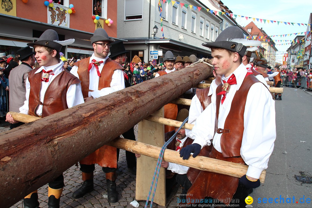 Narrenbaumstellen, Winfried Kretschmann: Stockach am Bodensee, 27.02.2014