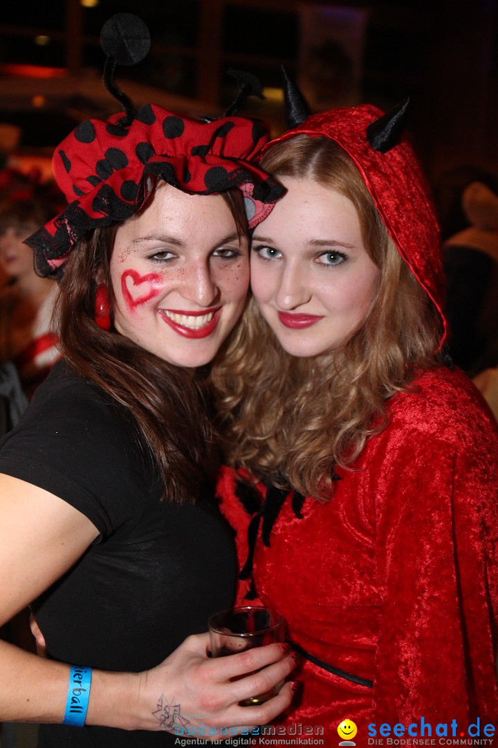 Stierball mit Heaven: Wahlwies am Bodensee mit seechat, 28.02.2014
