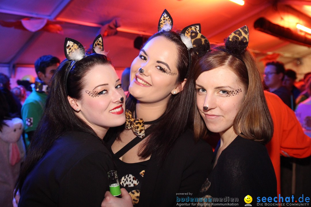 Stierball mit Heaven: Wahlwies am Bodensee mit seechat, 28.02.2014