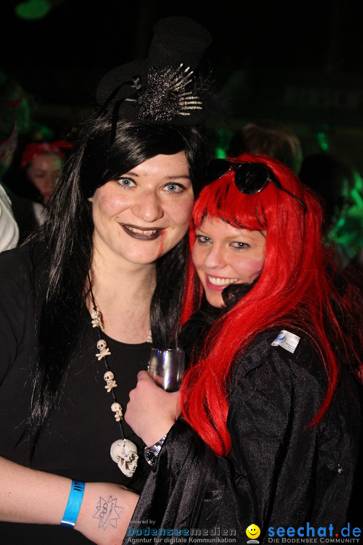 Stierball mit Heaven: Wahlwies am Bodensee mit seechat, 28.02.2014