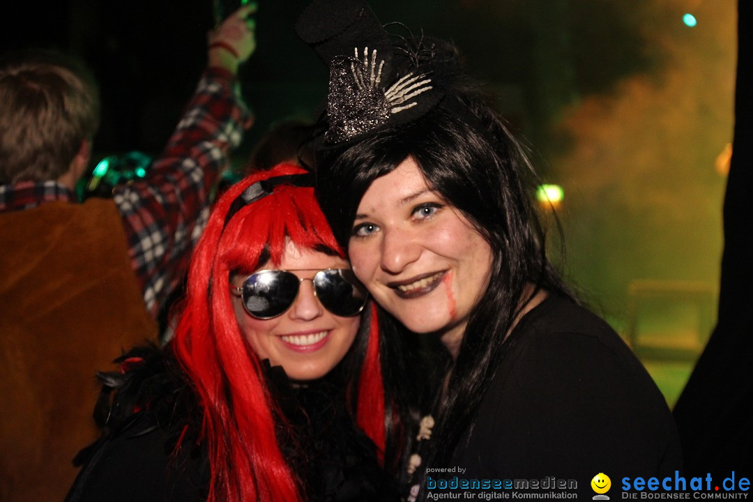 Stierball mit Heaven: Wahlwies am Bodensee mit seechat, 28.02.2014
