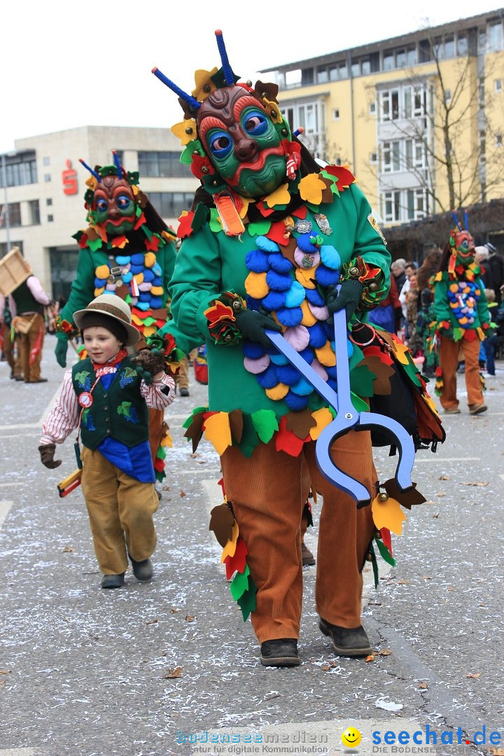 Fasnetsumzug - Fasching: Friedrichshafen am Bodensee, 01.03.2014