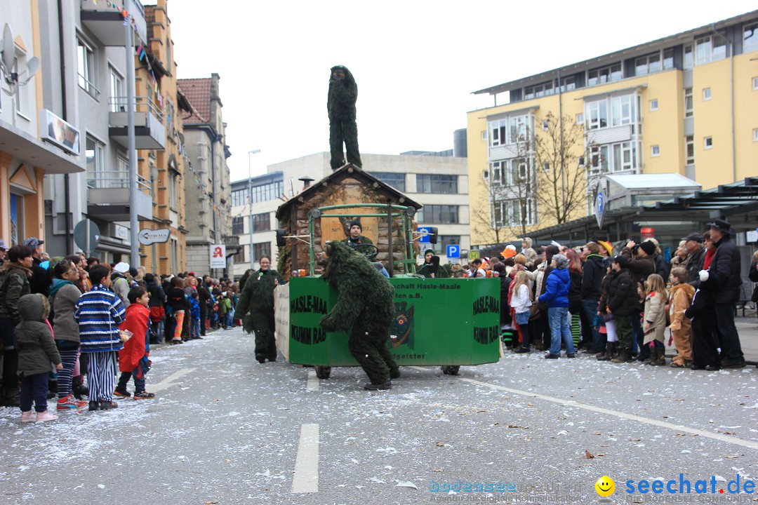 Fasnetsumzug - Fasching: Friedrichshafen am Bodensee, 01.03.2014