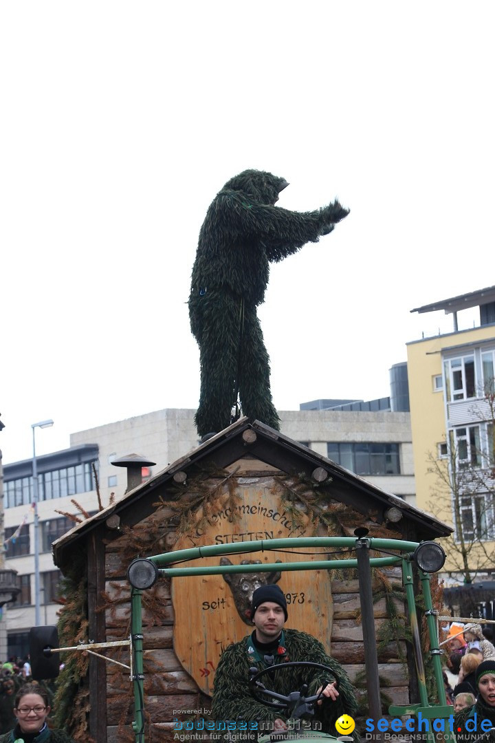 Fasnetsumzug - Fasching: Friedrichshafen am Bodensee, 01.03.2014
