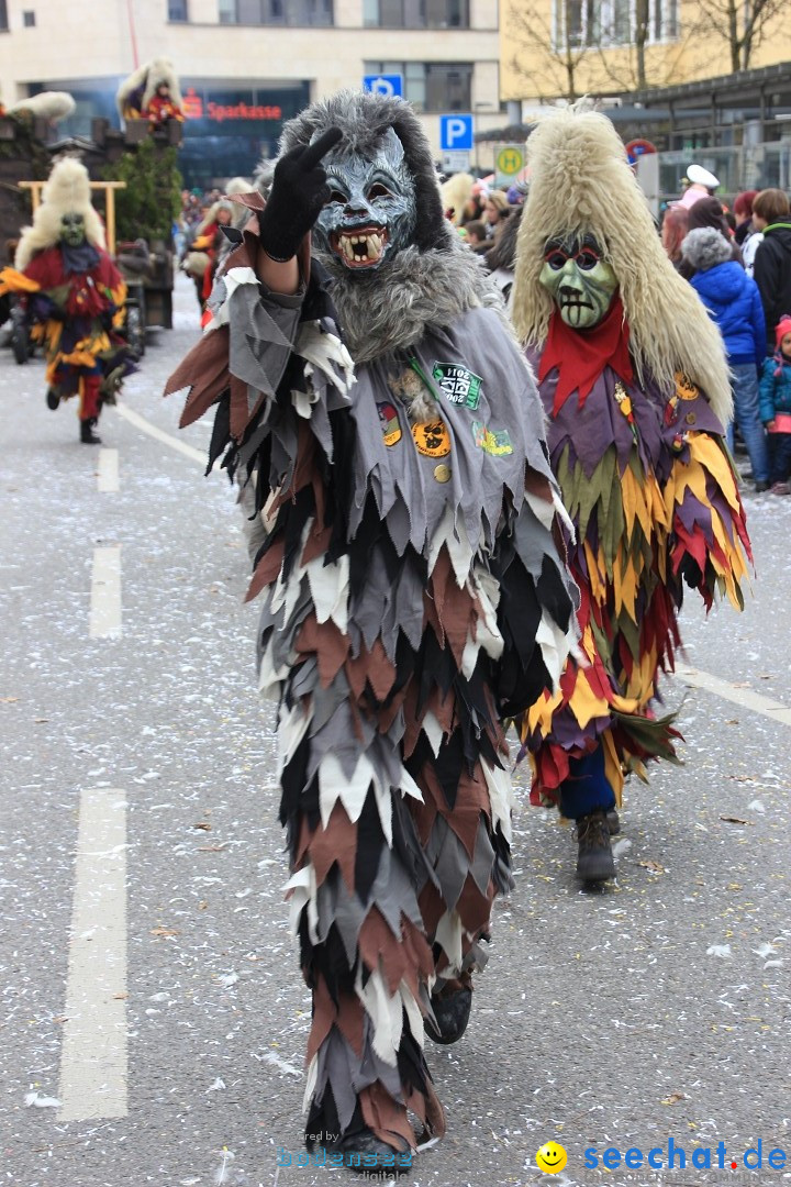Fasnetsumzug - Fasching: Friedrichshafen am Bodensee, 01.03.2014