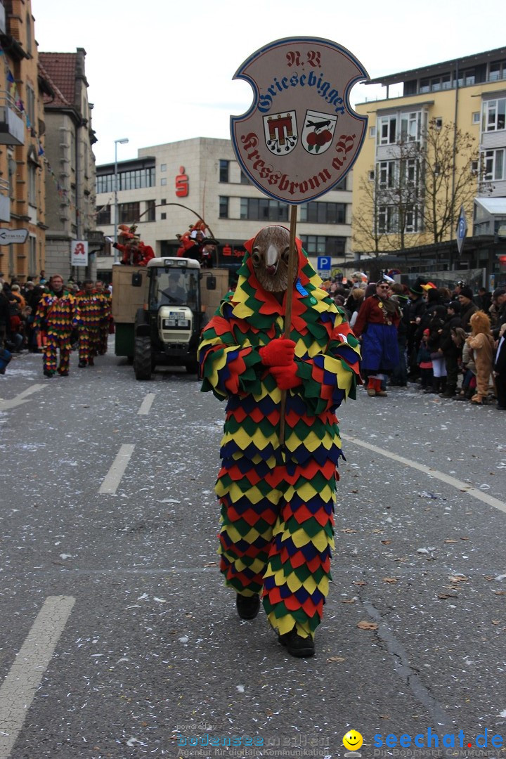 Fasnetsumzug - Fasching: Friedrichshafen am Bodensee, 01.03.2014