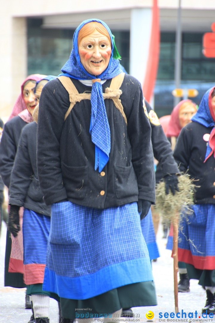 Fasnetsumzug - Fasching: Friedrichshafen am Bodensee, 01.03.2014