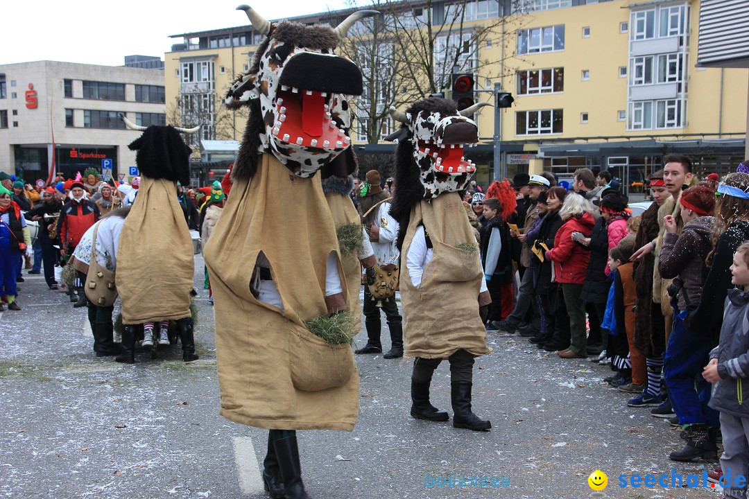 Fasnetsumzug - Fasching: Friedrichshafen am Bodensee, 01.03.2014