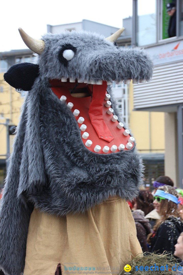 Fasnetsumzug - Fasching: Friedrichshafen am Bodensee, 01.03.2014