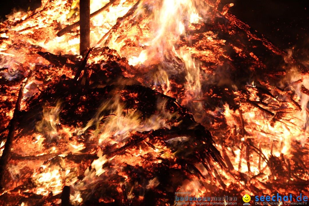 Funkenfeuer Fasnet - Ursaul bei Stockach am Bodensee, 09.03.2014
