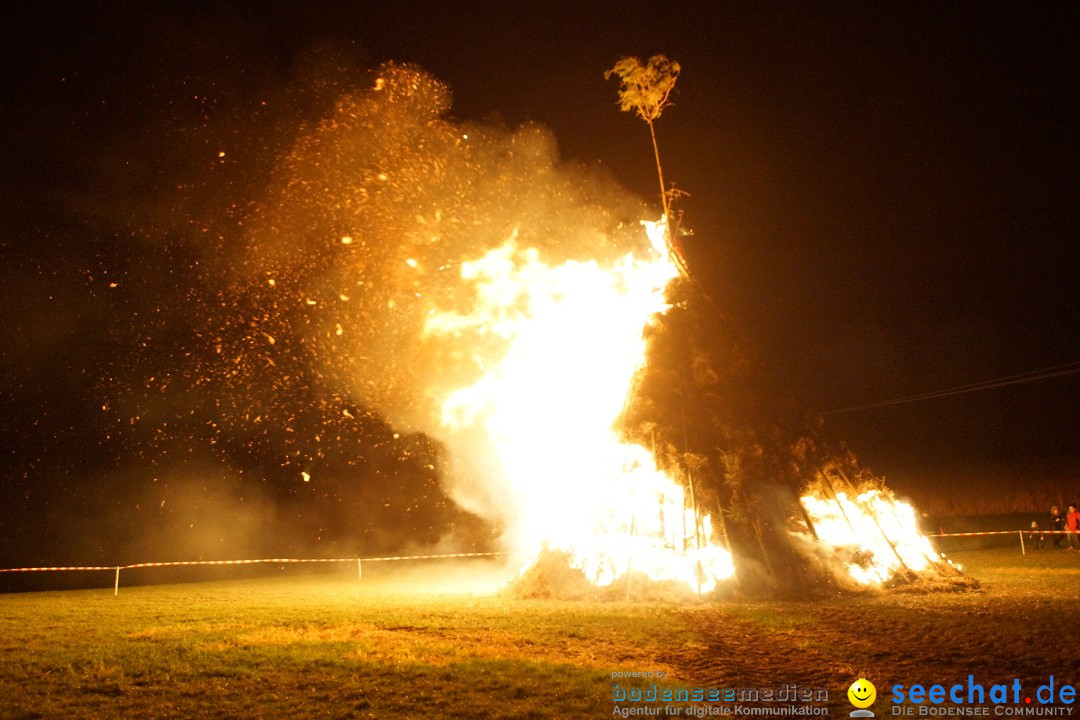 Funkenfeuer Fasnet - Ursaul bei Stockach am Bodensee, 09.03.2014