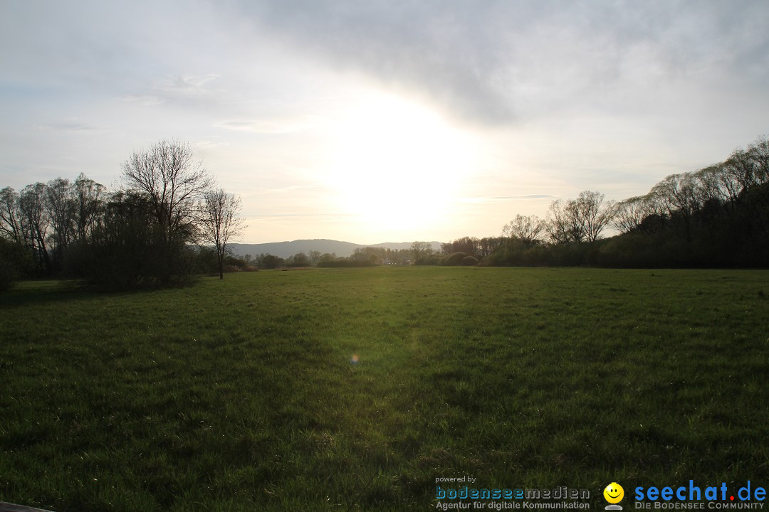 Naturschutzgebiet: Bodman - Ludwigshafen am Bodensee, 07.04.2014