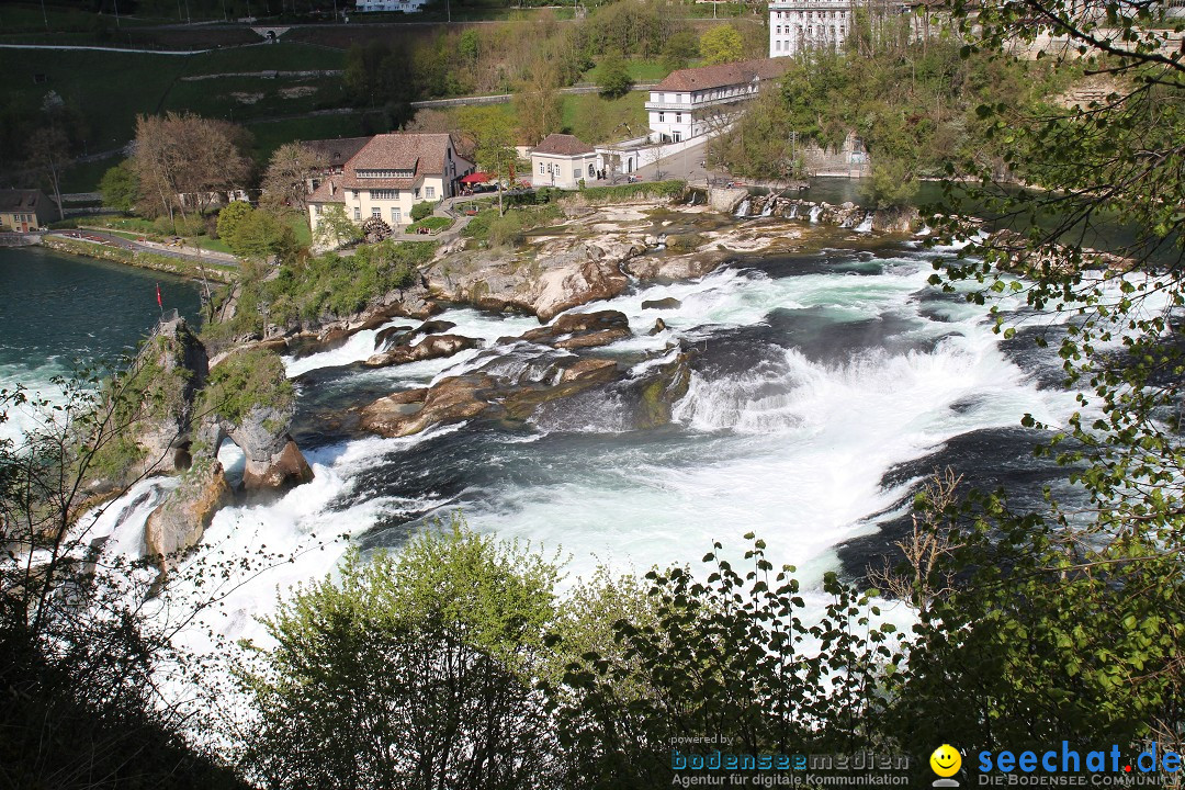 Rheinfall: Neuhausen - Schweiz: Schaffhausen am Bodensee, 09.04.2014