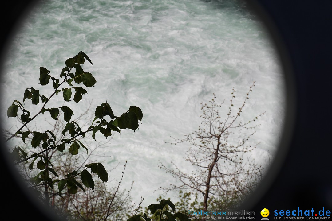 Rheinfall: Neuhausen - Schweiz: Schaffhausen am Bodensee, 09.04.2014