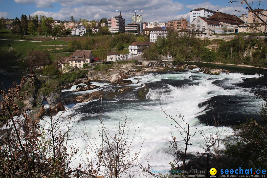 Rheinfall: Neuhausen - Schweiz: Schaffhausen am Bodensee, 09.04.2014