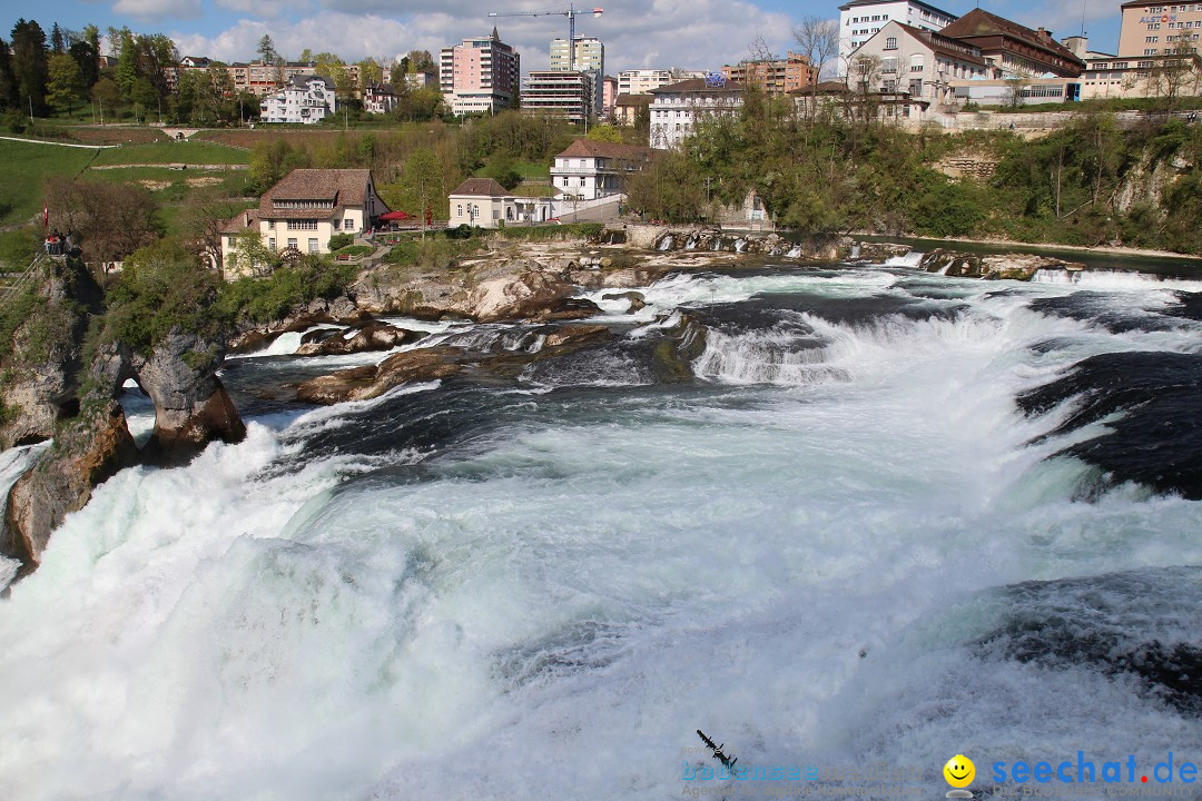 Rheinfall: Neuhausen - Schweiz: Schaffhausen am Bodensee, 09.04.2014