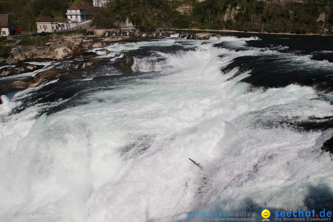 Rheinfall: Neuhausen - Schweiz: Schaffhausen am Bodensee, 09.04.2014