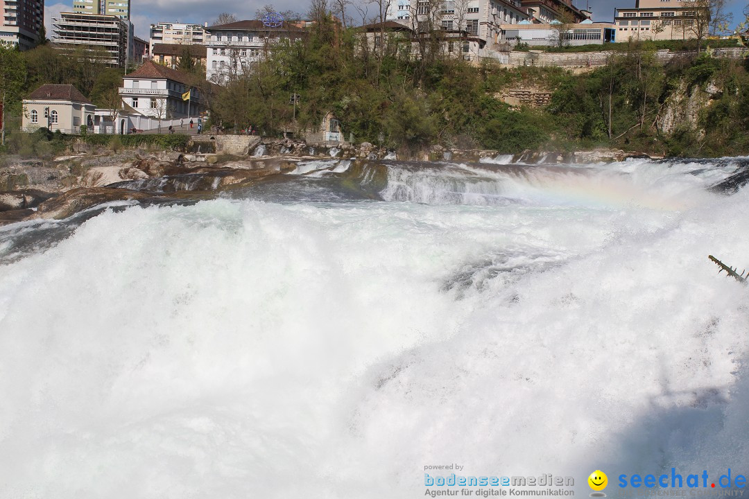 Rheinfall: Neuhausen - Schweiz: Schaffhausen am Bodensee, 09.04.2014