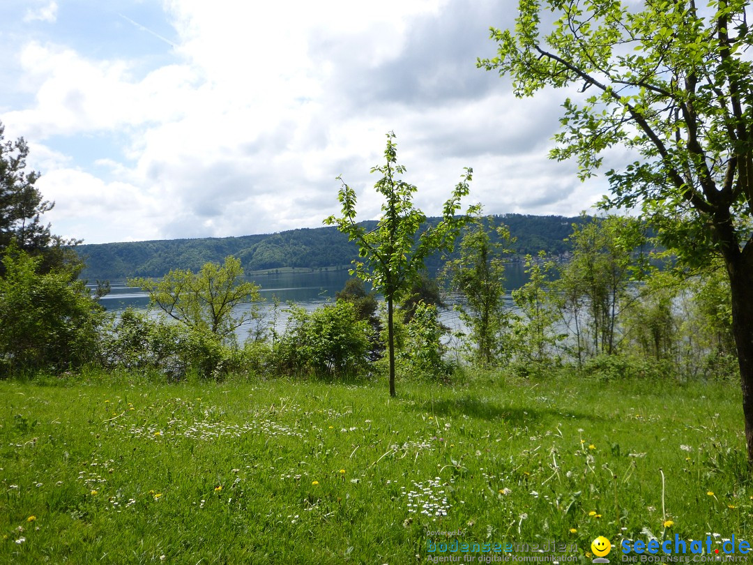 Floriansfest - 1. Mai Wanderung: Sipplingen am Bodensee, 01.05.2014