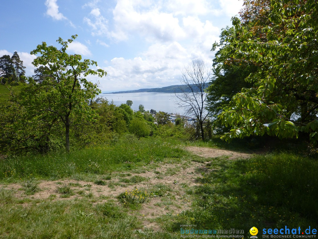 Floriansfest - 1. Mai Wanderung: Sipplingen am Bodensee, 01.05.2014