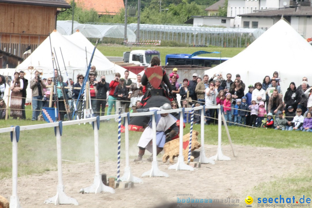 Mittelalterspektakel - Ritterturniere am Bodensee: Hinwil (ZH), 17.05.2014