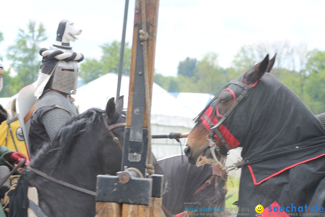 Mittelalterspektakel - Ritterturniere am Bodensee: Hinwil (ZH), 17.05.2014
