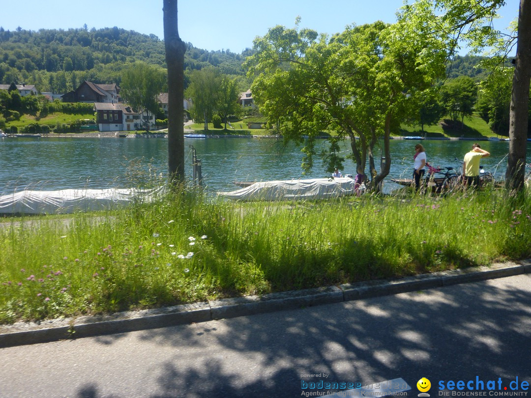 10. slowUp Hegau-Schaffhausen, seechat.de Bodensee-Community, 18.05.14