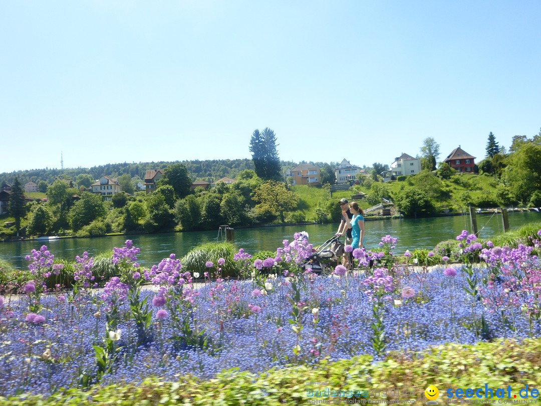 10. slowUp Hegau-Schaffhausen, seechat.de Bodensee-Community, 18.05.14