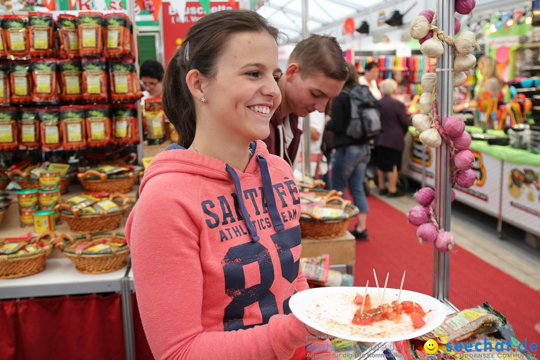 Suedwest-Messe-Villingen-Schwenningen-170614-Bodensee-Community-SEECHAT_DE-IMG_3661.JPG