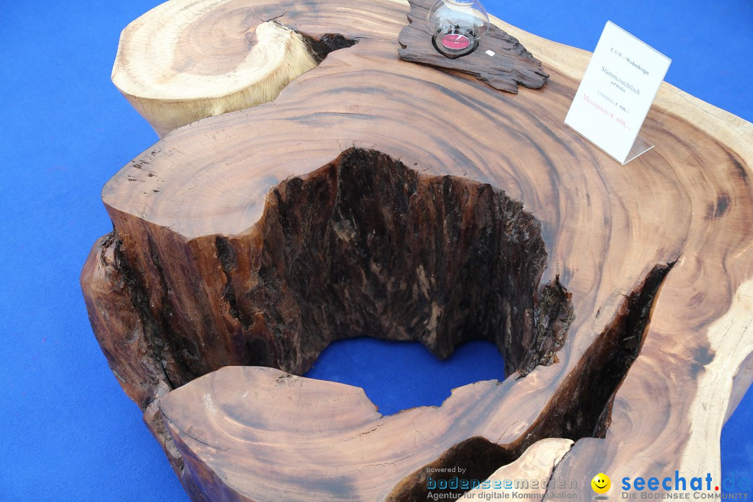 Suedwest-Messe-Villingen-Schwenningen-170614-Bodensee-Community-SEECHAT_DE-IMG_3731.JPG