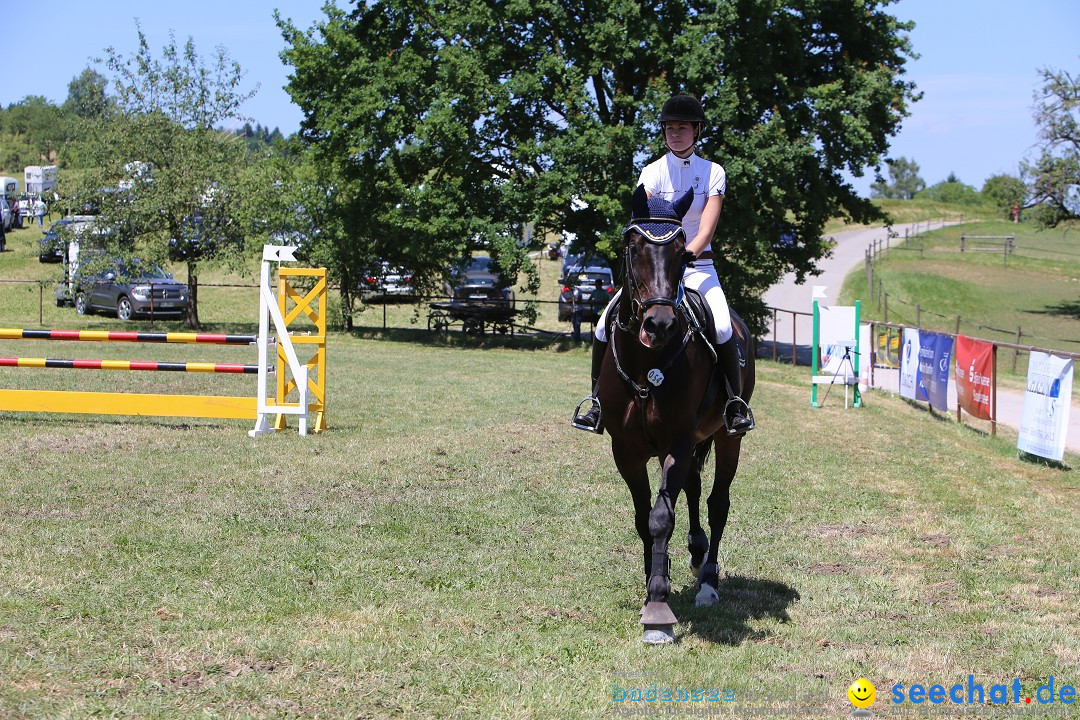 Reitturnier auf dem Ziegelhof in Dettingen-Wallhausen am Bodensee, 22.06.20